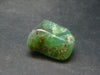 Rich Green Chrysoprase Polished Tumbled Stone From Australia - 1.1"