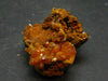 Nice Large Yellow Mimetite Cluster from Mexico - 1.0"