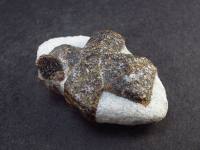A Perfect Staurolite Crystal on Matrix from Russia - 1.8" - 27.5 Grams