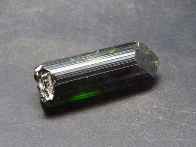 Green Tourmaline Crystal From Brazil - 1.6" - 74.6 Carats