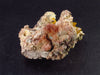 Wulfenite Cluster From Arizona - 2.6"