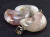 Lot of 3 Natural Puffed Moon Cherry Blossom Agate Pendant from Madagascar