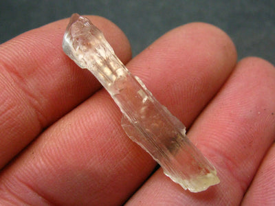 Large Perfect Golden Scapolite Crystal from Tanzania - 10.8 Carats - 1.5"