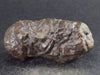 Rare Prophecy Stone Limonite after Pyrite From Egypt - 2.1" - 58 Grams