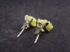 Rare Yellow Brucite Crystal Silver Earrings From Pakistan - 1.14 Grams