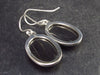 Natural Shungite Oval Dangle Shepherd Hook Earrings From Russia - 1.4" - 6.1 Grams