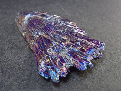 Dichroic Kyanite Crystal From Brazil - 2.5" - 22.1 Grams