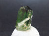 Green Tourmaline Crystal From Brazil - 0.6" - 10.7 Carats