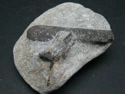 A Perfect Staurolite Crystal on Matrix from Russia - 2.4"