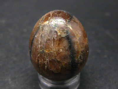 Chiastolite Variety of Andalusite Egg from China - 1.0"