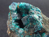 Very Nice Dioptase Cluster from Congo - 2.6" - 140 Grams