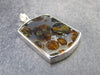 Large Rare Brahin Meteorite Slice With Olivine Pallasite Silver Pendant from Belarus - 1.3" - 6.31 Grams