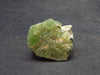 Rare 53.2 Carat Gem Peridot Olivine Cluster from Pakistan - 1.1"