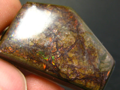 Ammolite Amolite Keychain From Canada