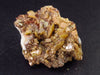 Wulfenite Cluster From Arizona - 2.0"