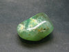 Rich Green Chrysoprase Polished Tumbled Stone From Australia - 1.1"