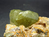 Golden Apatite Cluster From Mexico - 2.8" - 169 Grams