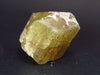 Large Gem Golden Apatite Crystal From Mexico - 1.4"