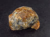 Rare Spessartine Garnet Crystal From Tanzania - 1.4"
