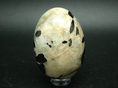 Canadian Treasure from the Earth!! Rare Black Fluoro-richterite Fluororichterite on White Calcite Egg From Ontario, Canada - 2.0"