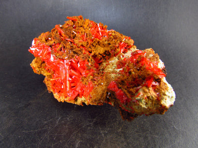 Rare Orange Crocoite Cluster From Australia - 3.4" - 144 Grams