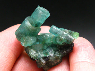 Fine Emerald Beryl Cluster From Zambia - 58.90 Carats - 1.3"