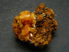 Nice Large Yellow Mimetite Cluster from Mexico - 1.0"