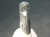 Fine Gem Tanzanite Zoisite Crystal From Tanzania - 4.85 Carats - 0.6"