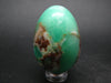 Natural Apple Green Chrysoprase Egg From Kazakhstan - 58.9 Grams - 1.9"