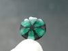 Beautiful Rare Gem Trapiche Emerald From Colombia - 0.55 Carats - 8.1x6.9mm