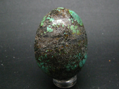 Genuine Turquoise Egg From Sleeping Beauty Arizona - 1.7" - 62.3 Grams