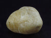 Agni Golden Danburite Tumbled Stone From Tanzania - 1.6" - 64.2 Grams