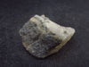 Phenakite Phenacite Crystal From Brazil - 9.88 Grams - 0.9"