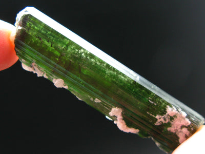 Green Tourmaline Crystal From Brazil - 2.7" - 129 Carats