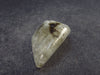 Genuine Phenakite Phenacite Tumbled Crystal from Russia - 32 Carats - 1.1"