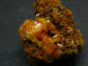 Nice Large Yellow Mimetite Cluster from Mexico - 1.0"