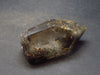 Large Polished Rutilated Quartz Crystal from Brazil - 2.2" - 52.7 Grams
