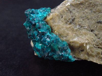 Very Nice Dioptase Cluster from Congo - 2.1" - 54.7 Grams