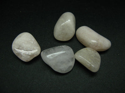 Lot of 5 natural Morganite (Pink Beryl) tumbled stones from Brazil