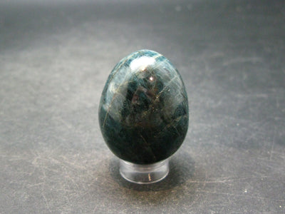 Large Neon Blue Apatite Egg from Madagascar - 47.0 Grams - 1.4"