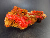 Rare Orange Crocoite Cluster From Australia - 3.4" - 144 Grams