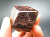 Red Almandine Garnet Crystal From India - 1.4" - 55.3 Grams