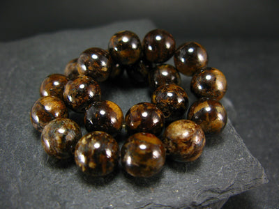Bronzite Genuine Bracelet ~ 7 Inches ~ 10mm Round Beads