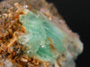 Very Rare Phosphophyllite Crystal From Bolivia - 2.0"