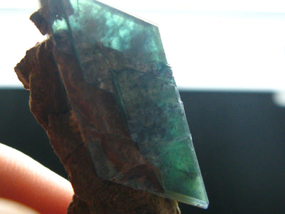 Vivianite Crystal From Bolivia - 1.7"