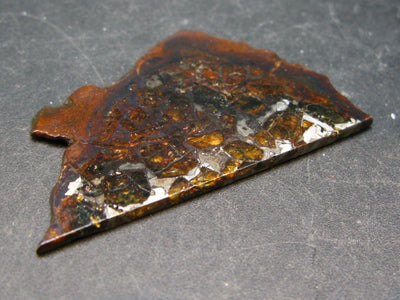 Large Brahin Meteorite Slice With Olivine Pallasite From Russia - 2.2" - 12.2 Grams