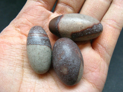 Lot of 3 Natural Elliptically Shaped Shiva Lingam Stones from India