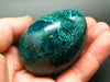 Kazakhstan Treasure from the Earth!! Very Rare Large Dioptase Egg From Altyn Tyube, Kazakhstan - 2.4"