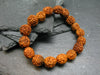 Rudraksha Beads Genuine Bracelet ~ 7 Inches ~ 10mm Beads