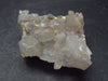 Rare Ajoite in Quartz Cluster from South Africa - 1.2" - 12.6 Grams